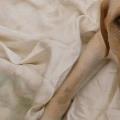 https://uk.holidog.com/ImagesPetSitters/FF543395-640F-433D-B883-C607D30A279F_square_120.jpg 59467-2